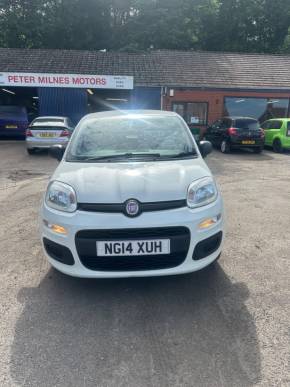 FIAT PANDA at Peter Milnes Motors Ltd Filey